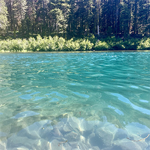 Fall colors in Tahoe